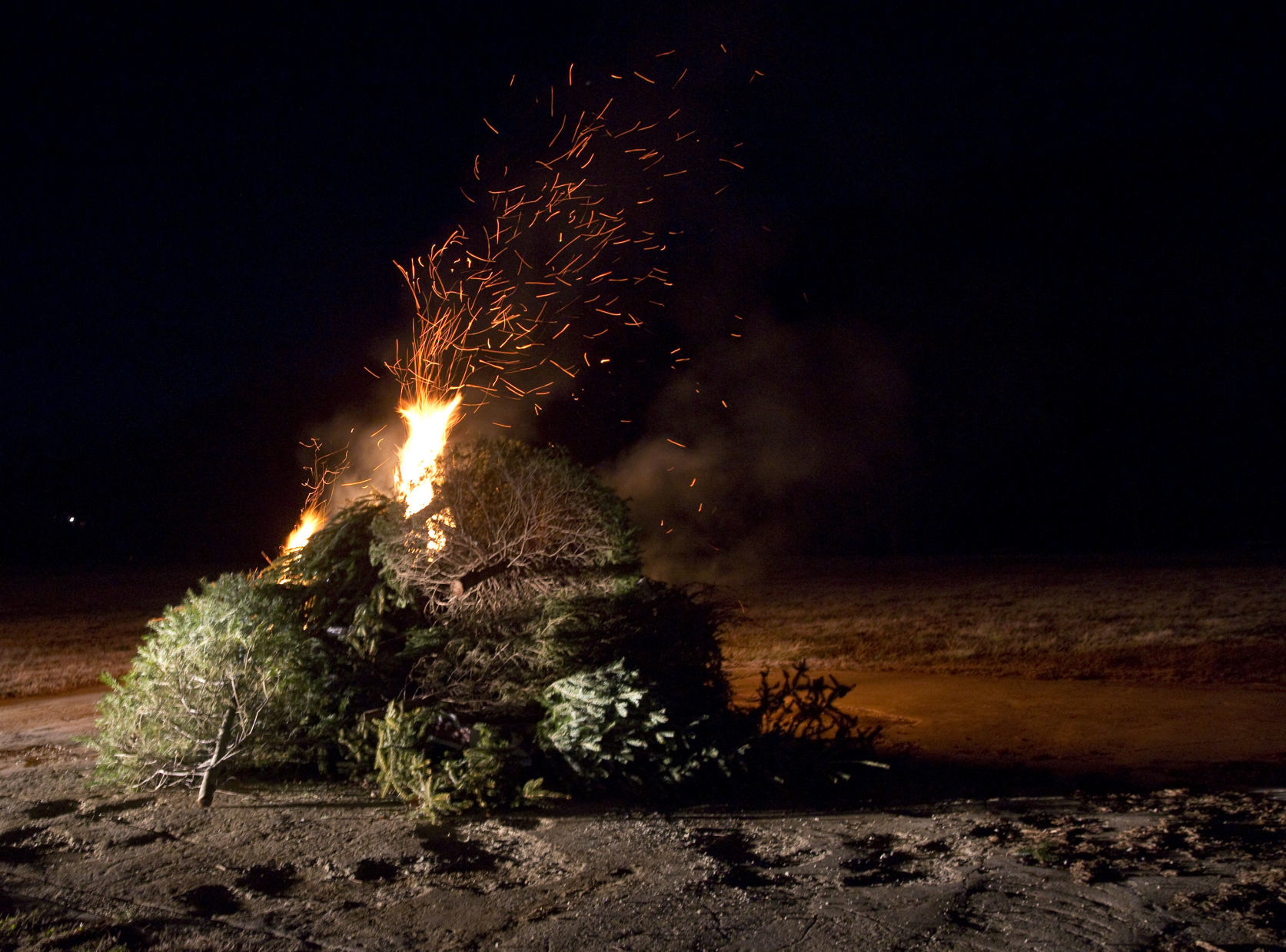 skd treeburning 010620 p06